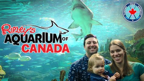 Ripley S Aquarium Of Canada Toronto Ontario Youtube