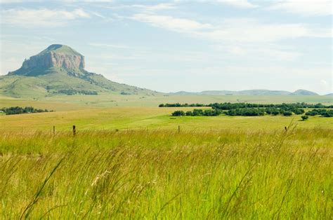 Free Picture Landscape Nature Field Grass Grassland Land Meadow