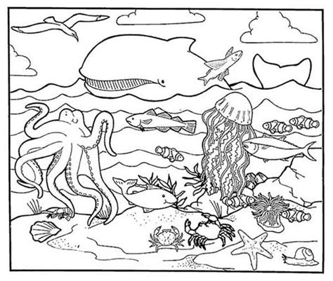 A Healthy Sea Animals Marine Habitats Coloring Page Ocean Coloring