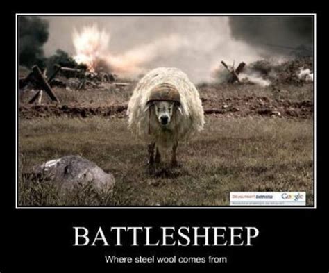 Funny Sheep Quotes Quotesgram