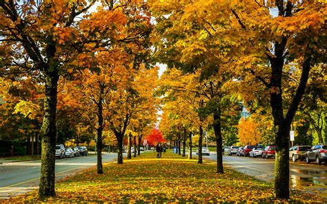 Vancouver Photos Of The Week Fall Inspiration Vancouver Blog Miss604