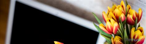 Everyone has professional backgrounds and having such an offbeat background works great sometimes. 23 Free LinkedIn Backgrounds and Cover Photos - The Muse