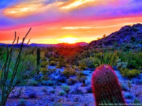 Sonoran Desert South Of Maricopa Arizona ~ Taken By Ryan Seek