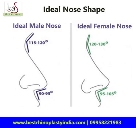 Ideal Nose Shape For Male Or Female Rhinoplasty Surgery Eyelid Surgery