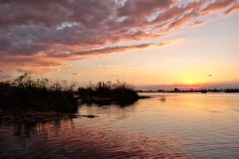 10 Botswana Travel Tips To Know Before You Go