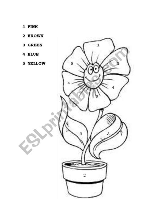 They change colors almost overnight. color the flower - ESL worksheet by fraky