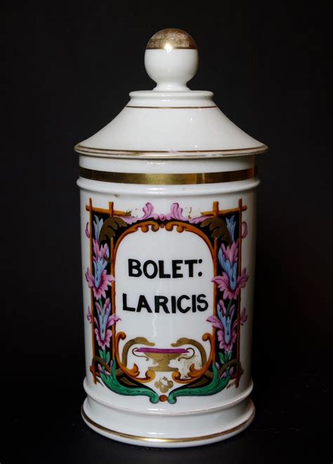 Antique Porcelain Apothecary Jars Porcelana Farmacia