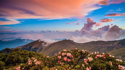 Flowers Mountains Landscapes Nature Clouds Coolwallpapersme