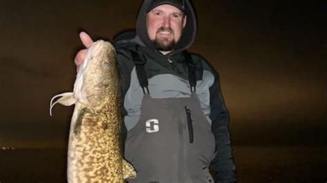 32 Year Old Burbot Record Broken Twice In Two Weeks Meateater Fishing