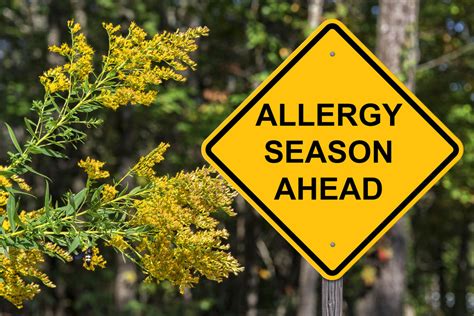 What Are The Most Common Allergens In Each Allergy Season Viral Rang