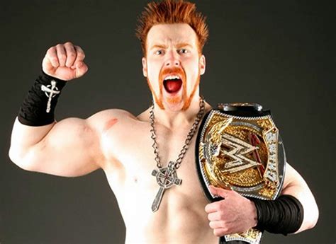 Sheamus Wallpaper With Wwe Title