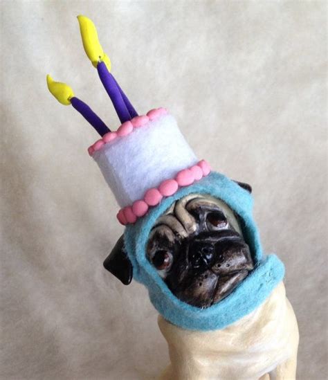 Shamus The Birthday Pug Etsy Birthday Pug Pugs Birthday Hat