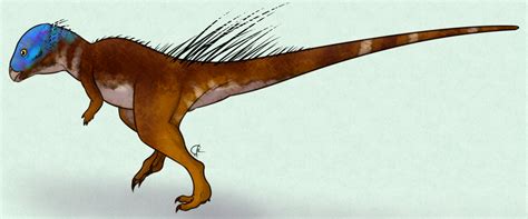 A Dinosaur A Day · Micropachycephalosaurus Hongtuyanensis