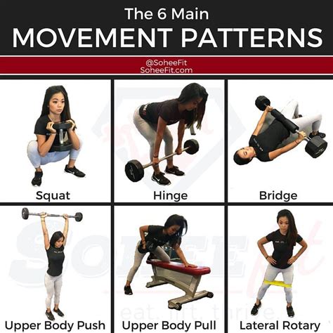 📍the 6 Main Movement Patterns📍 While There Are Many Ways To Write