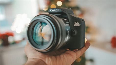 Best Dslr Camera For Beginners In 2020 Under 500 With