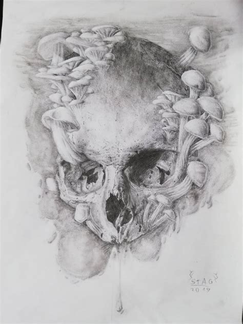 Skull Growing Mushrooms Aka Fun Guy Because Puns Done In Graphite