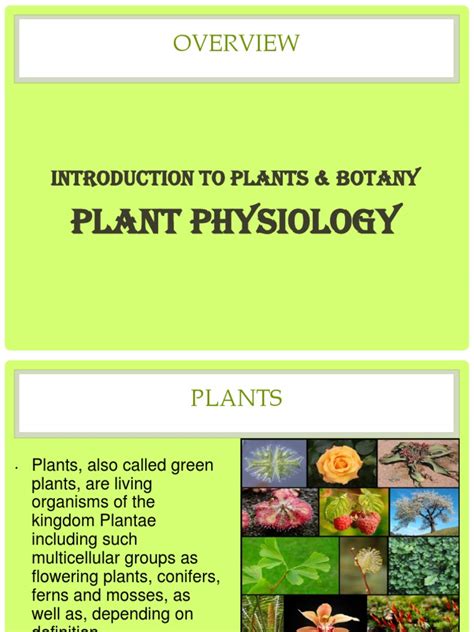 Introduction To Plant Physiology Plant Physiology Plants