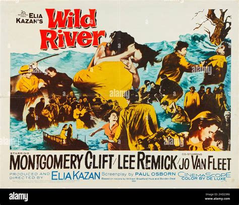 Wild River 1960 Poster Half Sheet Movie Poster Feat Montgomery