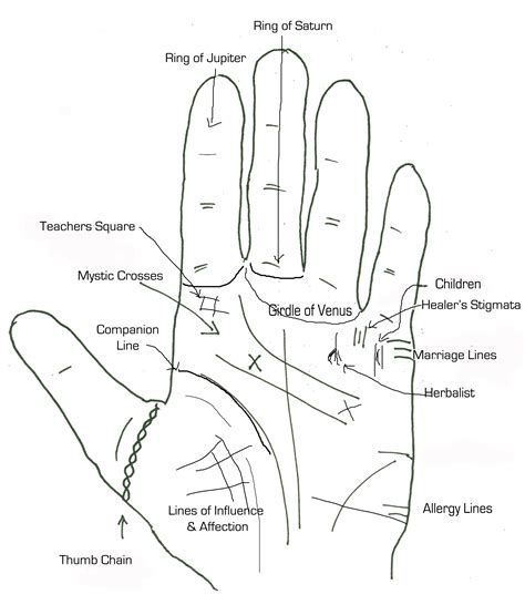 7 Special Marks Palmistry Palm Reading