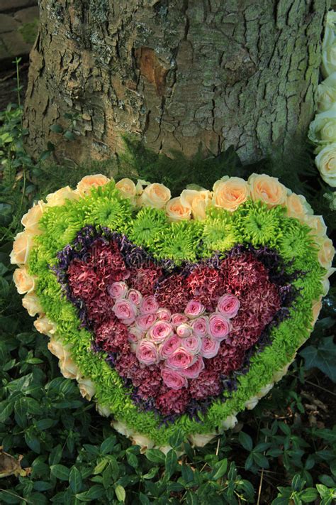 Heart Shaped Flower Arrangement Stock Photo Image Of Exibition Heart