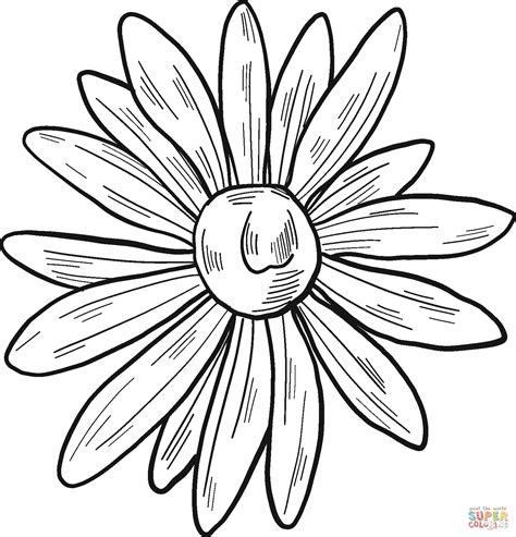 Daisy Coloring Page Free Printable Coloring Pages