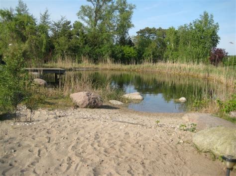 Schöne urlaubsziele, reiseziele, ferienwohnung warnemünde, wohnen am see, ferienhaus hund, ferienhaus direkt am strand, ferienwohnung deutschland, ferienhäuser deutschland, alpen urlaub. Urlaub mit Hund an der Ostsee exklusives Ferienhaus ...