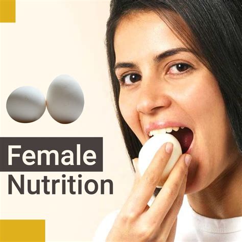 Female Nutrition Why Young Mothers Must Include Egg In Their Diet Plan