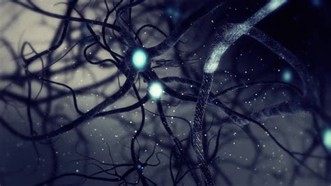 Real Neuron Synapse Network 3d Animation Infinite Loop Inside The