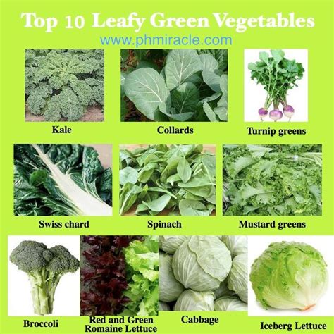Eating My Way To Better Health Food Charts Leafy Greens Green