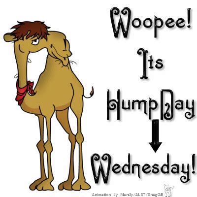 Woopee It S Hump Day Wednesday Funny Good Morning Quotes Morning Quotes Funny Happy