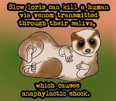 20 Weird But Interesting Animal Facts You Dont Really Need To Know But