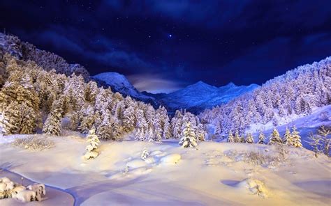 Imagini Frumoase De Iarna Poze Super Misto With Images Iarnă