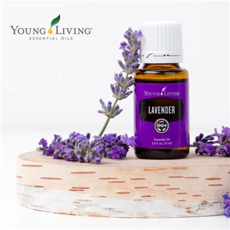 Young Living Lavender Essential Oil Essential Oil Life