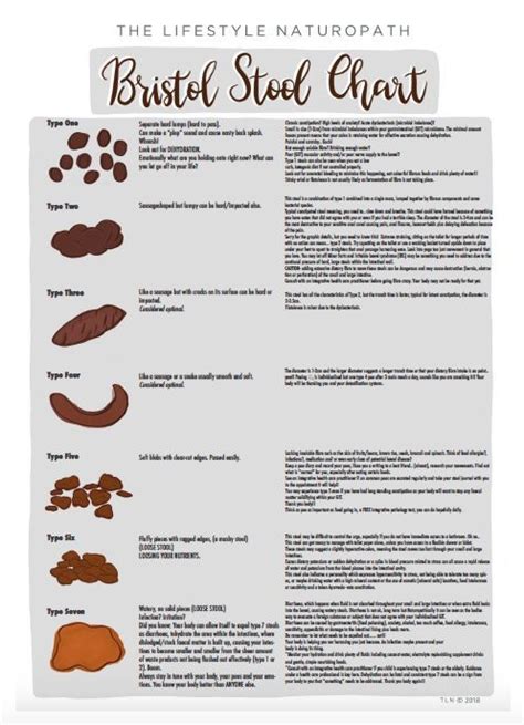 Bristol Stool Chart Bristol Stool Chart Stool Chart Health Chart