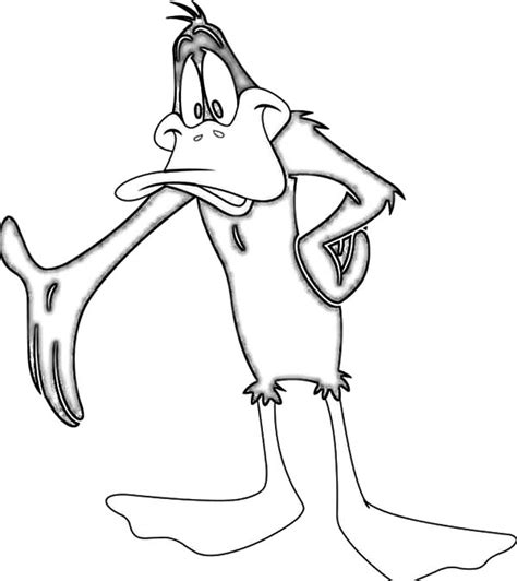 Best Daffy Duck Printable Coloring Pages Update This Years