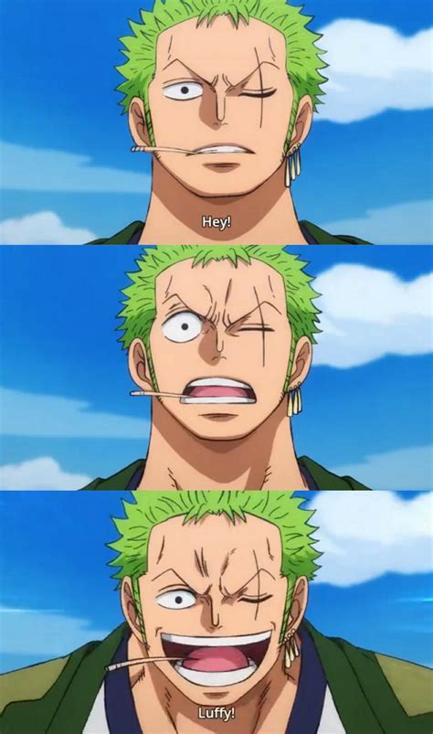 One Piece Anime Zoro One Piece One Piece Comic Luffy Fanarts Anime