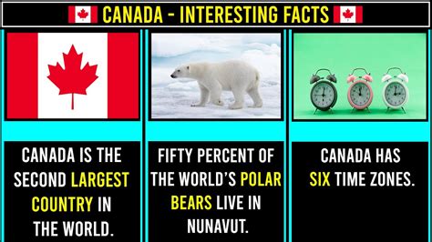 Canada Facts Amazing Facts About Canada Amazing Facts You Should