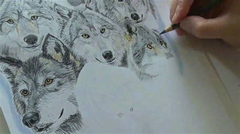 Speed Drawing A Wolf Pack Time Lapse Youtube