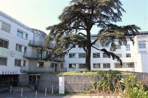 Un assureur mutualiste, présent et actif au cœur de votre région. Centre D Imagerie Medicale De L Hopital Prive Natecia Lyon