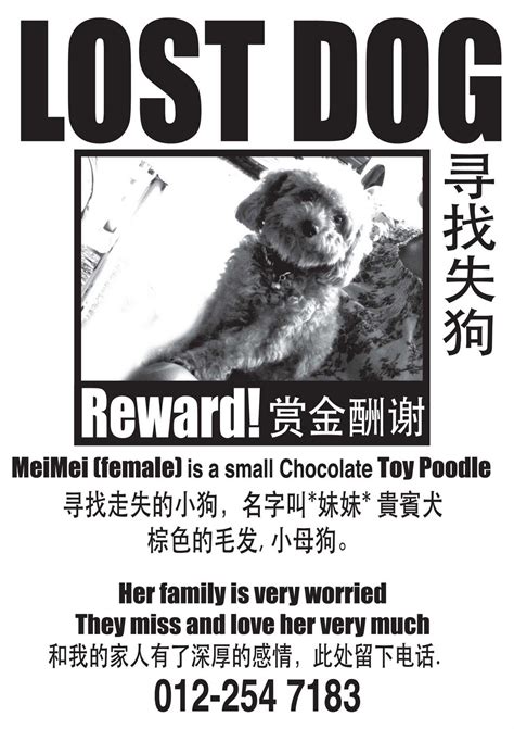 Konstudio Lost Dog Poster