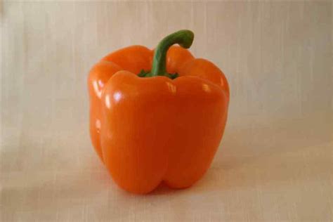 bell peppers do the different colors taste any different delishably