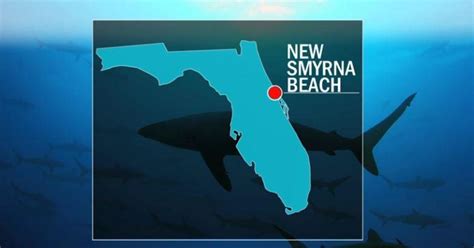 Florida Shark Attacks 3 People Bitten Shark Attacks At New Smyrda