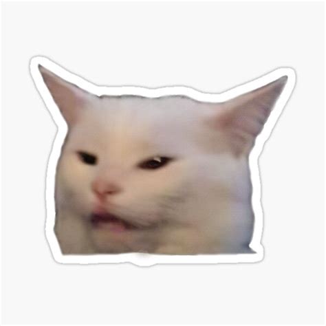 White Cat Sitting On Stool Meme Gettybad