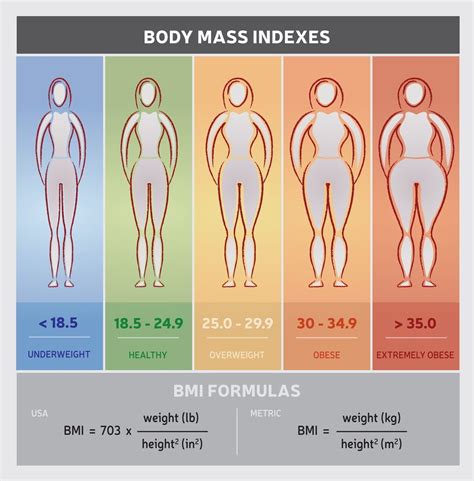 Body Mass Index Bmi Accurate Scientific Calculation Tools Bmi