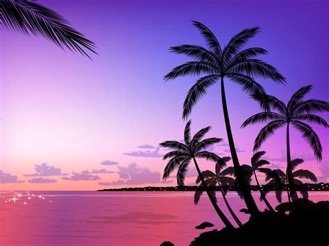 Beach Palm Tree Background Nature Beach Palm Tree Background 20472