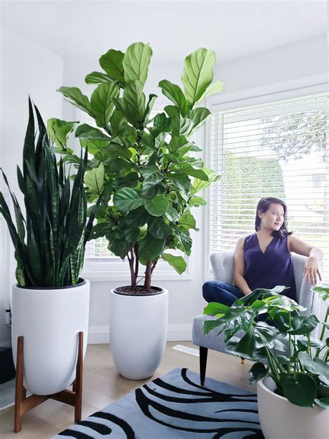 24 Indoor Plant Decor Ideas—from The Nursery To Kitchen In 2020 Plant