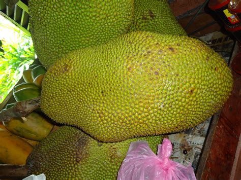 In order to overcome the excessive use of pesticides, the government has institutionalised good agricultural practices through malaysian farm certification scheme for good agricultural practice to both fruit and vegetable. File:Malaysian Fruits (14).JPG - Wikimedia Commons