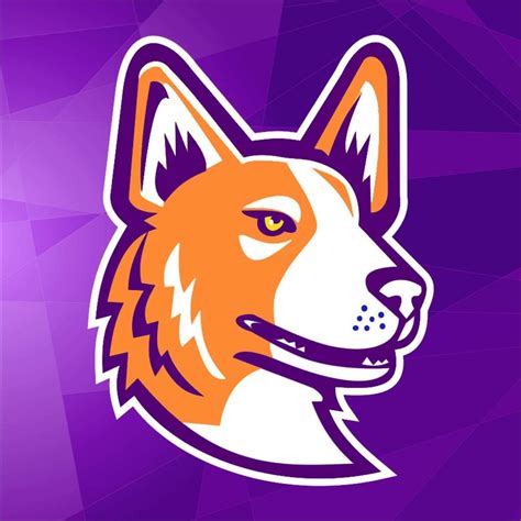 I Made My Friend Some Cool Twitch Branding Fortnite