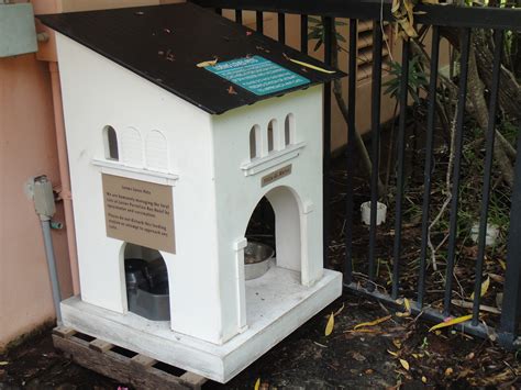 You can build an inexpensive shelter and we can show you how. Riverfront Cats, Downtown Miami: Loews Orlando Hotels ...