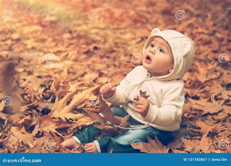Baby Boy Enjoying Autumn Stock Image Image Of Expression 131183867